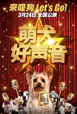 大学失禁的内裤